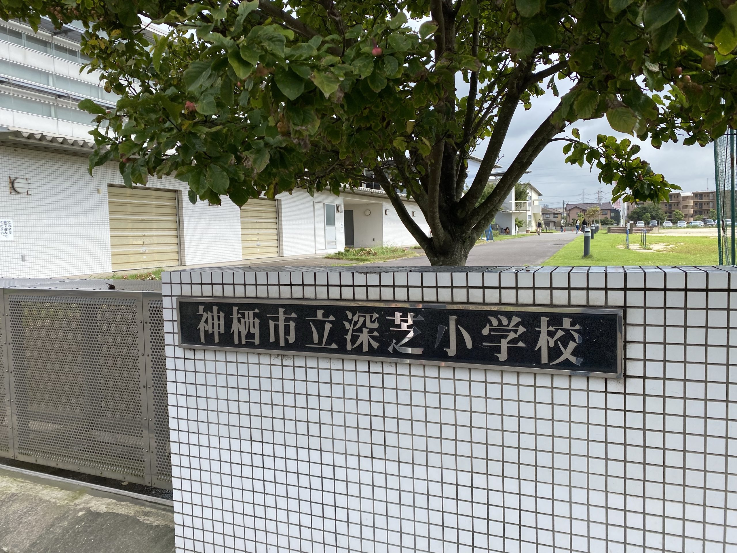 投票日