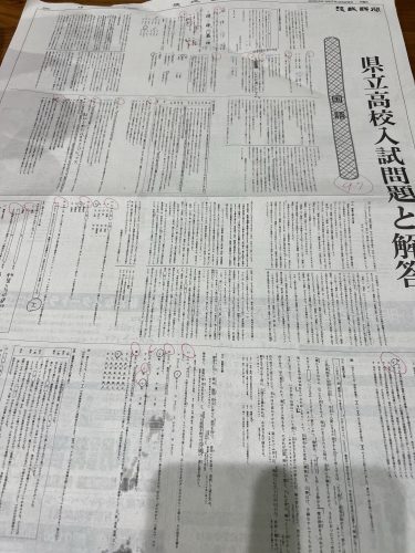 そんなこんなな