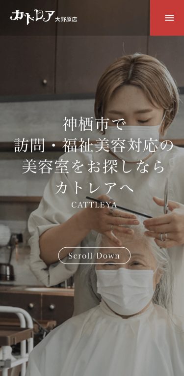 訪問美容day